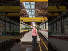 어떤 접시가 더 좋습니까, 티타늄 아니면 스테인리스 스틸입니까?